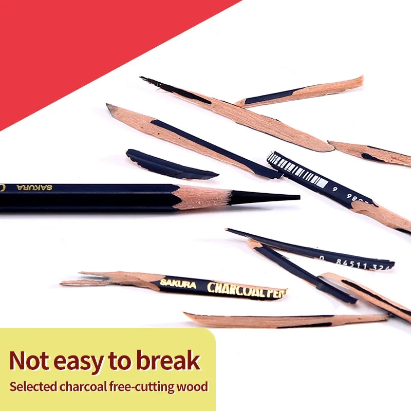 SAKURA Charcoal Pencil Sketchi - Sketching Charcoal Set recensione e prezzo