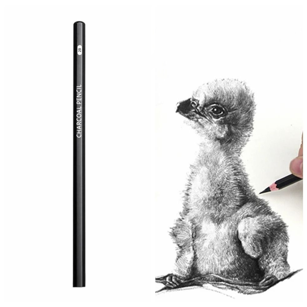 Graphite Mixed Sketching Penci - Sketching Charcoal Set recensione e prezzo