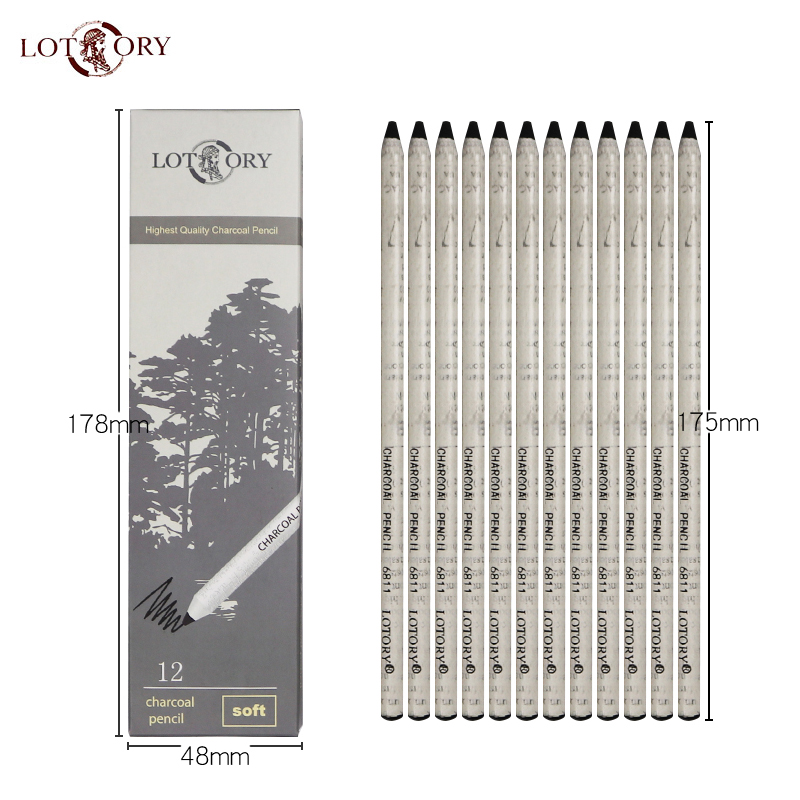 LOTORY 12pcs Black Sketch Char - Sketching Charcoal Set recensione e prezzo