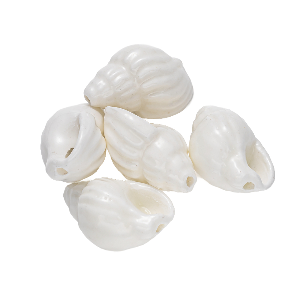 10Pcs Shell Sea Conch Ceramic  - Art Craft Accessories recensione e prezzo