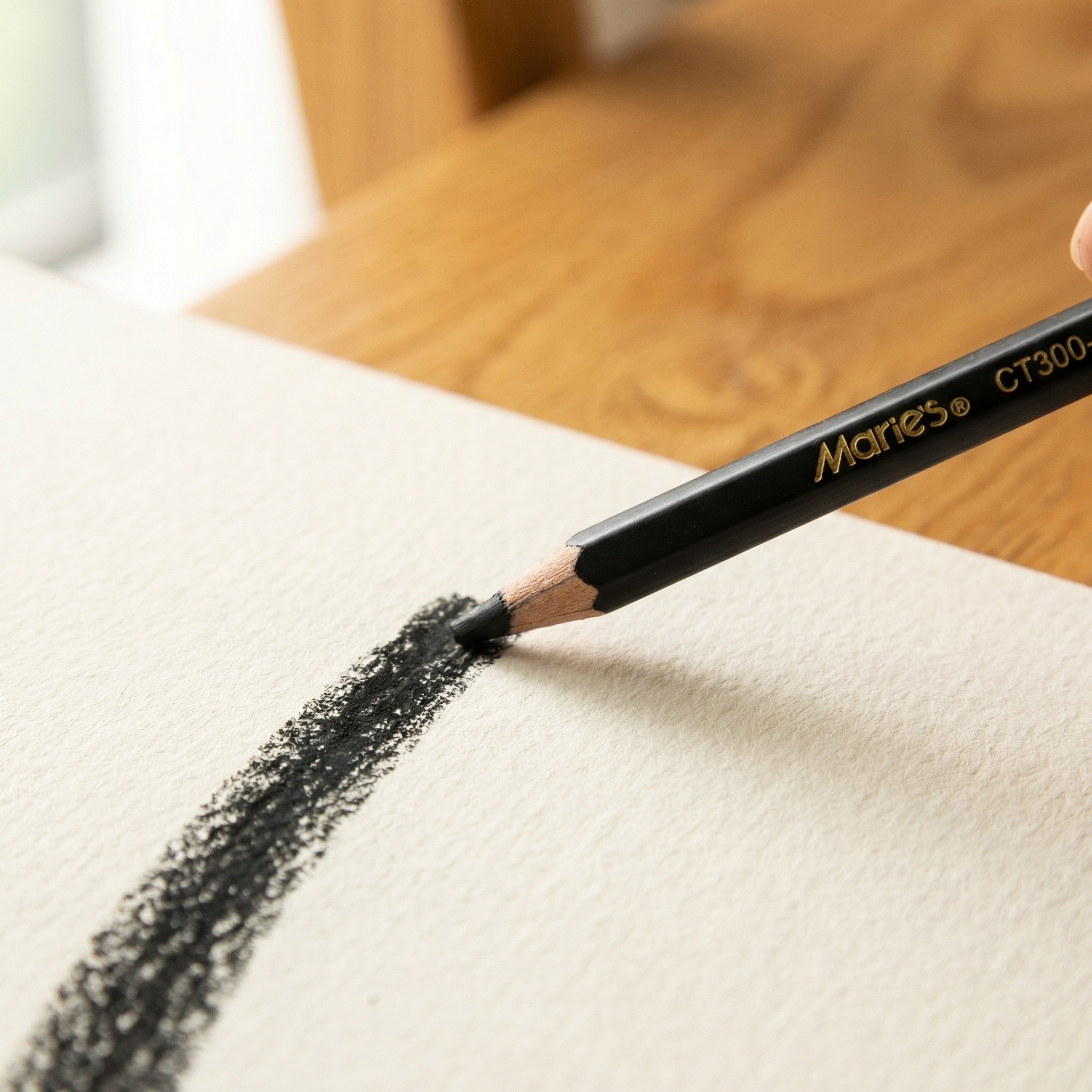 Marie's 12pcs Charcoal Pencils - Sketching Charcoal Set recensione e prezzo