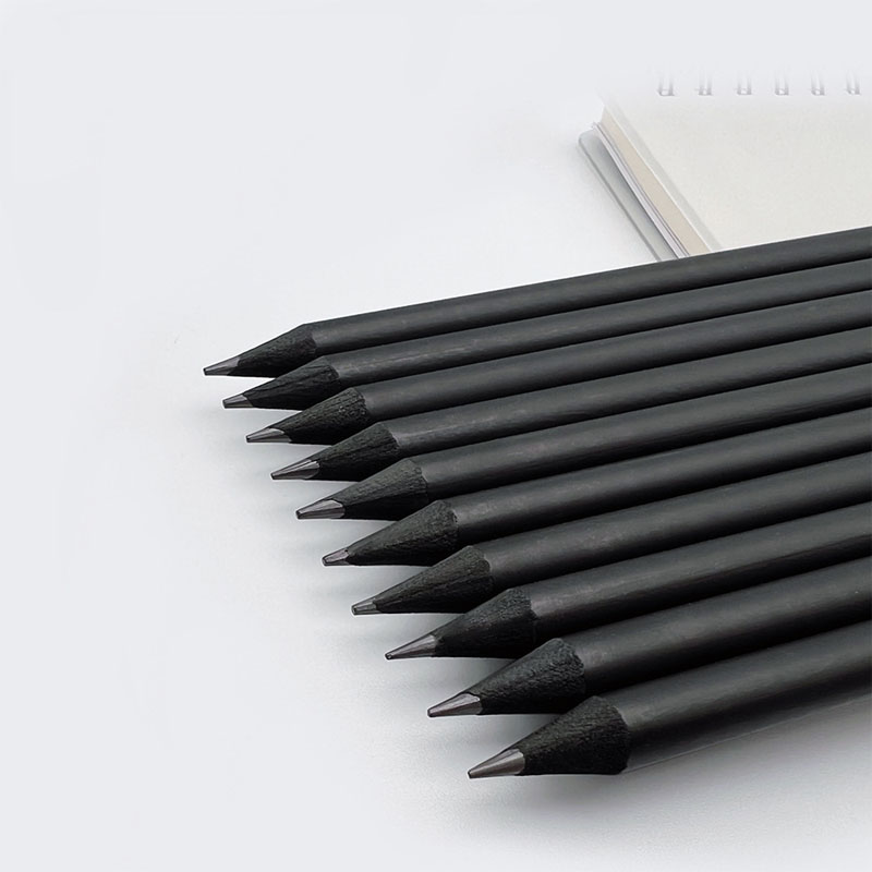 Professional Woodless Charcoal - Sketching Charcoal Set recensione e prezzo