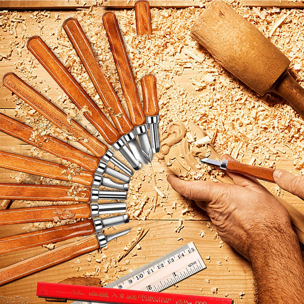 12Pcs SK2 Woodworking Carving  - Art Craft Wood recensione e prezzo